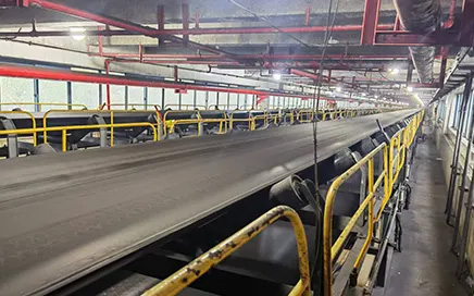 分布式光纖聲傳感DAS/DVS